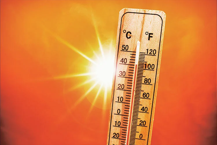 Resistenti alla temperatura alta e bassa e altri ambienti speciali