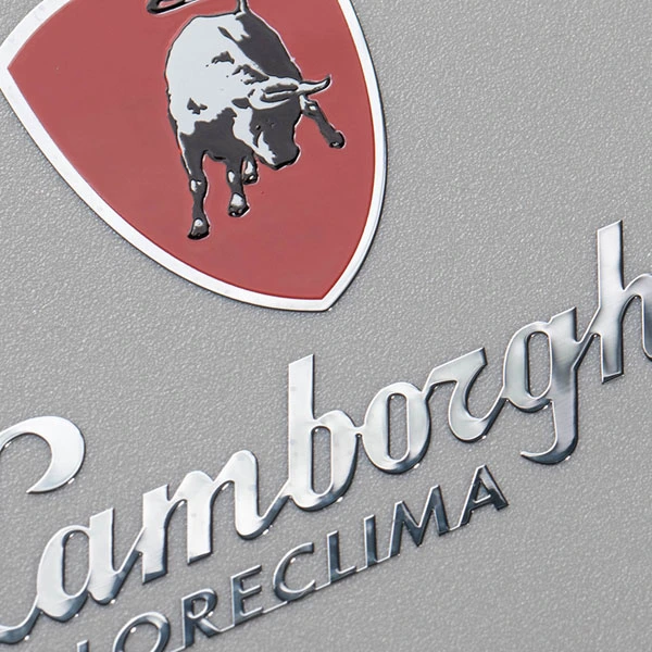 Logo resistente al calore in nichel lucido